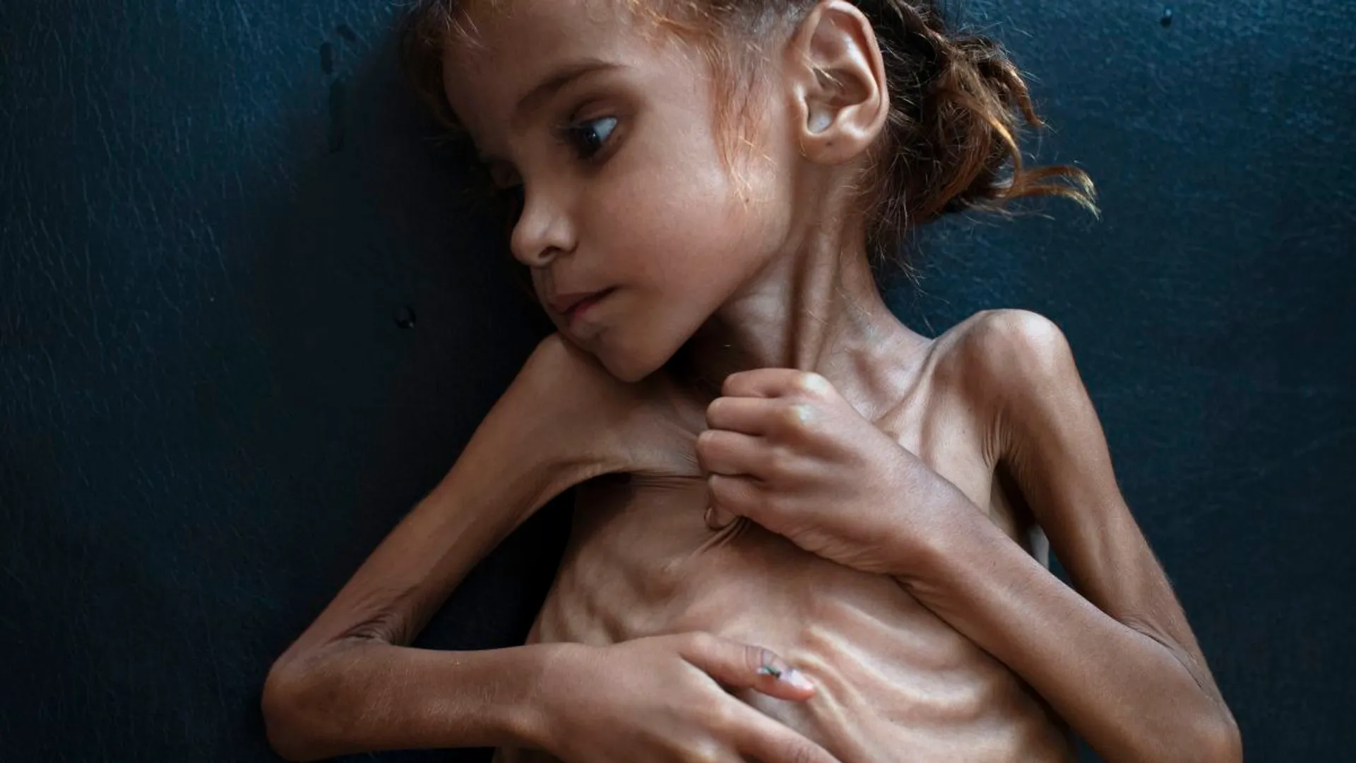 amal hussain